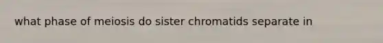 what phase of meiosis do sister chromatids separate in