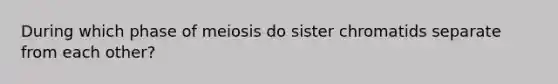 During which phase of meiosis do sister chromatids separate from each other?