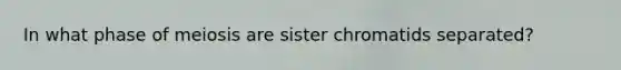 In what phase of meiosis are sister chromatids separated?