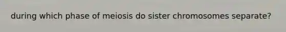 during which phase of meiosis do sister chromosomes separate?