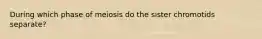 During which phase of meiosis do the sister chromotids separate?
