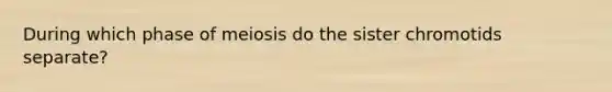 During which phase of meiosis do the sister chromotids separate?