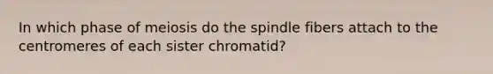 In which phase of meiosis do the spindle fibers attach to the centromeres of each sister chromatid?