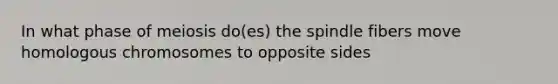 In what phase of meiosis do(es) the spindle fibers move homologous chromosomes to opposite sides