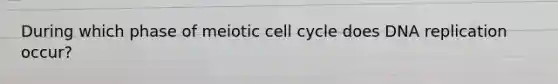 During which phase of meiotic cell cycle does DNA replication occur?