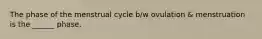 The phase of the menstrual cycle b/w ovulation & menstruation is the ______ phase.