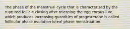 The phase of the menstrual cycle that is characterized by the ruptured follicle closing after releasing the egg corpus lute, which produces increasing quantities of progesterone is called follicular phase ovulation luteal phase menstruation