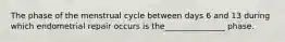 The phase of the menstrual cycle between days 6 and 13 during which endometrial repair occurs is the_______________ phase.