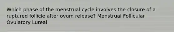 Which phase of the menstrual cycle involves the closure of a ruptured follicle after ovum release? Menstrual Follicular Ovulatory Luteal