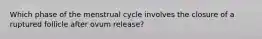 Which phase of the menstrual cycle involves the closure of a ruptured follicle after ovum release?