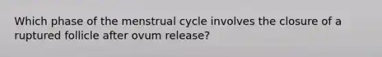 Which phase of the menstrual cycle involves the closure of a ruptured follicle after ovum release?