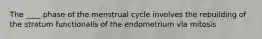 The ____ phase of the menstrual cycle involves the rebuilding of the stratum functionalis of the endometrium via mitosis