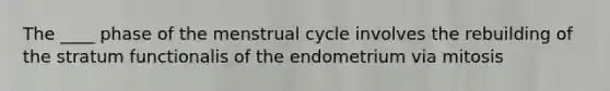 The ____ phase of the menstrual cycle involves the rebuilding of the stratum functionalis of the endometrium via mitosis