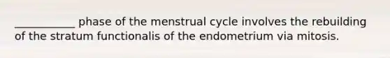 ___________ phase of the menstrual cycle involves the rebuilding of the stratum functionalis of the endometrium via mitosis.