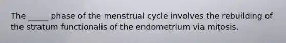 The _____ phase of the menstrual cycle involves the rebuilding of the stratum functionalis of the endometrium via mitosis.