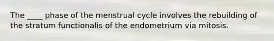 The ____ phase of the menstrual cycle involves the rebuilding of the stratum functionalis of the endometrium via mitosis.