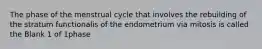 The phase of the menstrual cycle that involves the rebuilding of the stratum functionalis of the endometrium via mitosis is called the Blank 1 of 1phase