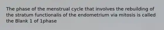 The phase of the menstrual cycle that involves the rebuilding of the stratum functionalis of the endometrium via mitosis is called the Blank 1 of 1phase