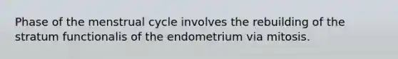 Phase of the menstrual cycle involves the rebuilding of the stratum functionalis of the endometrium via mitosis.