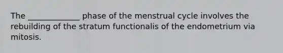 The _____________ phase of the menstrual cycle involves the rebuilding of the stratum functionalis of the endometrium via mitosis.