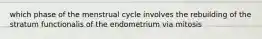 which phase of the menstrual cycle involves the rebuilding of the stratum functionalis of the endometrium via mitosis