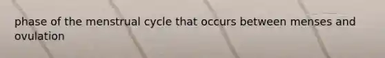 phase of the menstrual cycle that occurs between menses and ovulation