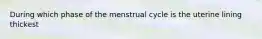 During which phase of the menstrual cycle is the uterine lining thickest