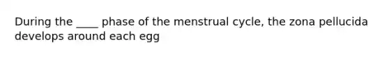 During the ____ phase of the menstrual cycle, the zona pellucida develops around each egg