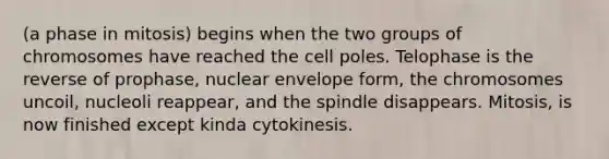 (a phase in mitosis) begins when the two groups of chromosomes have reached the cell poles. Telophase is the reverse of prophase, nuclear envelope form, the chromosomes uncoil, nucleoli reappear, and the spindle disappears. Mitosis, is now finished except kinda cytokinesis.