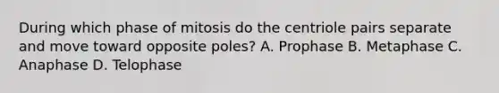 During which phase of mitosis do the centriole pairs separate and move toward opposite poles? A. Prophase B. Metaphase C. Anaphase D. Telophase