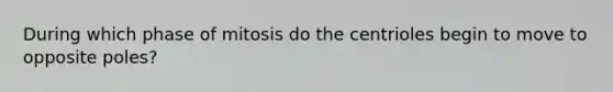 During which phase of mitosis do the centrioles begin to move to opposite poles?