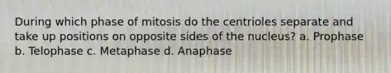 During which phase of mitosis do the centrioles separate and take up positions on opposite sides of the nucleus? a. Prophase b. Telophase c. Metaphase d. Anaphase