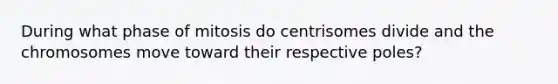 During what phase of mitosis do centrisomes divide and the chromosomes move toward their respective poles?