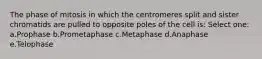 The phase of mitosis in which the centromeres split and sister chromatids are pulled to opposite poles of the cell is: Select one: a.Prophase b.Prometaphase c.Metaphase d.Anaphase e.Telophase