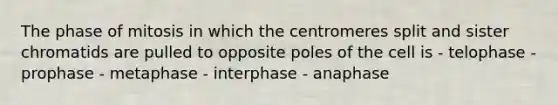 The phase of mitosis in which the centromeres split and sister chromatids are pulled to opposite poles of the cell is - telophase - prophase - metaphase - interphase - anaphase