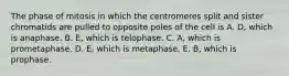 The phase of mitosis in which the centromeres split and sister chromatids are pulled to opposite poles of the cell is A. D, which is anaphase. B. E, which is telophase. C. A, which is prometaphase. D. E, which is metaphase. E. B, which is prophase.