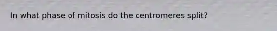 In what phase of mitosis do the centromeres split?