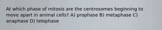 At which phase of mitosis are the centrosomes beginning to move apart in animal cells? A) prophase B) metaphase C) anaphase D) telophase