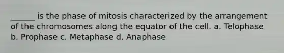 ______ is the phase of mitosis characterized by the arrangement of the chromosomes along the equator of the cell. a. Telophase b. Prophase c. Metaphase d. Anaphase