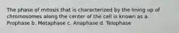 The phase of mitosis that is characterized by the lining up of chromosomes along the center of the cell is known as a. Prophase b. Metaphase c. Anaphase d. Telophase