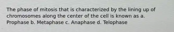 The phase of mitosis that is characterized by the lining up of chromosomes along the center of the cell is known as a. Prophase b. Metaphase c. Anaphase d. Telophase