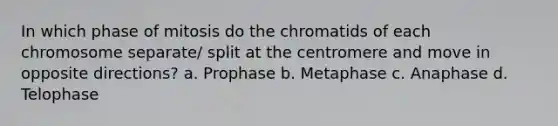 In which phase of mitosis do the chromatids of each chromosome separate/ split at the centromere and move in opposite directions? a. Prophase b. Metaphase c. Anaphase d. Telophase