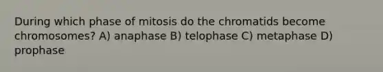 During which phase of mitosis do the chromatids become chromosomes? A) anaphase B) telophase C) metaphase D) prophase