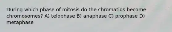 During which phase of mitosis do the chromatids become chromosomes? A) telophase B) anaphase C) prophase D) metaphase