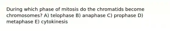 During which phase of mitosis do the chromatids become chromosomes? A) telophase B) anaphase C) prophase D) metaphase E) cytokinesis