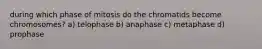 during which phase of mitosis do the chromatids become chromosomes? a) telophase b) anaphase c) metaphase d) prophase