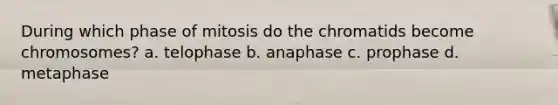 During which phase of mitosis do the chromatids become chromosomes? a. telophase b. anaphase c. prophase d. metaphase