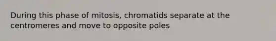 During this phase of mitosis, chromatids separate at the centromeres and move to opposite poles