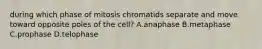 during which phase of mitosis chromatids separate and move toward opposite poles of the cell? A.anaphase B.metaphase C.prophase D.telophase