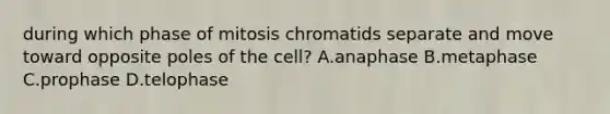 during which phase of mitosis chromatids separate and move toward opposite poles of the cell? A.anaphase B.metaphase C.prophase D.telophase